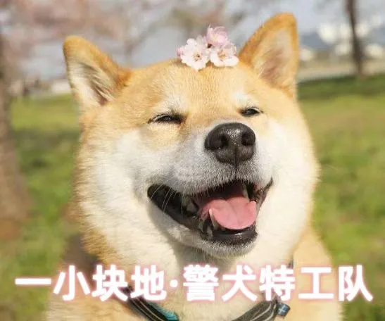 mapImage